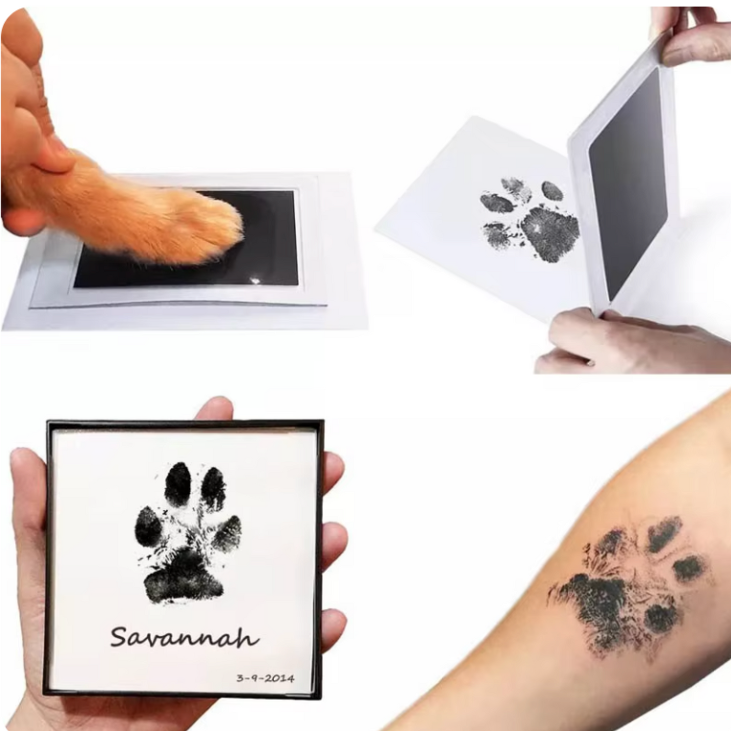 Inkless Paw Print Station