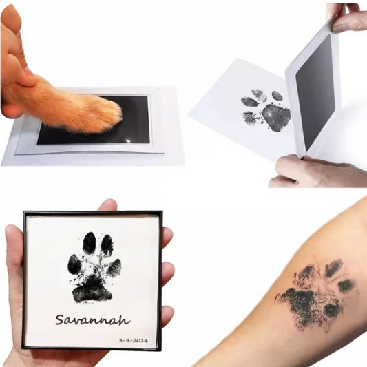 Inkless Paw Print Station